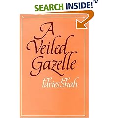 A Veiled Gazelle: Seeing How to See