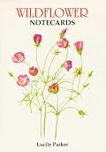 Wildflower Notecards