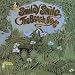 Ten Psychedelic Albums by Famous Bands