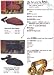 Zoo Med Small Repti-Therm UTH Under Tank Heater Small