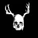 Skull With Antlers
