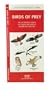 Birds of Prey: An Introduction to Familiar North American Species (North American Nature Guides)