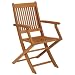 Strathwood Basics Folding Hardwood Armchair, Set of 2