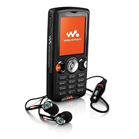 Sony Ericsson W810I Unlocked Cell Phone with 2 MP Camera, MP3/Video Player, Memory Stick Pro Duo Slot--International Version with Warranty (Black)