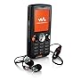 Sony Ericsson W810I Unlocked Cell Phone with 2 MP Camera, MP3/Video Player, Memory Stick Pro Duo--International Version with Warranty (Black)