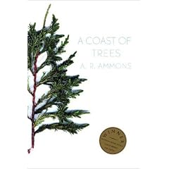 A Coast of Trees