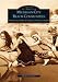 Michigan City Beach Communities: Sheridan, Long Beach, Duneland, Michiana Shores   (IN)  (Images of America)