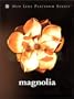 Magnolia (Widescreen)