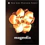 Magnolia (New Line Platinum Series)