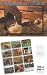 Dreaming of Horses 2006 Calendar