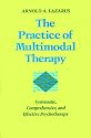 The Practice of Multimodal Therapy: Systematic, Comprehensive, and Effective Psychotherapy
