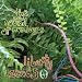 音楽: Liberty Seeds