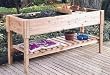 Cedar Garden Center