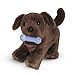 American Girl Pet - Chocolate Lab Puppy - MY AG 2014