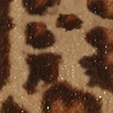Kool Sac 2 Seater - Leopard Velvet