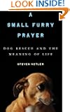 A Small Furry Prayer