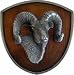 Trophy Ram Hitch Cover