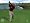 Tiger Woods PGA Tour 2006 (PS2)