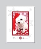Christmas Dog-Custom Designed Holiday Greeting Cards 8 Greeting Cards Per Package Unique Design By Atlantic Seaboard Trading Co.