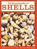 The encyclopedia of shells