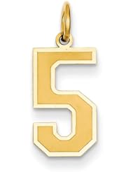 14k Yellow or White Gold Medium Satin Number 5 Charm