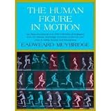 The human figure in motion