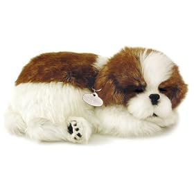 Perfect Petzzz Shih Tzu by Distributoys