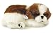 Perfect Petzzz Shih Tzu