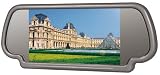 Datasystem バックミラーモニター LTM6020GR 車 バックミラー テレビ DVD