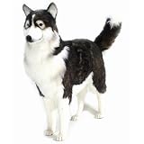 Hansa - Winnie Life-Size Husky