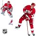 Tools & Hardware : Upper Deck Detroit Red Wings NHL Wall Stars