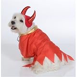 TDISC Devil Costume (Medium)
