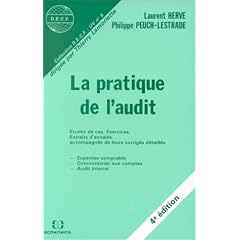 La pratique de l'audit