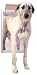 Petsafe Classic Pet Door - Extra Large, White
