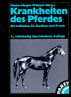 Leitfaden