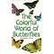 Movies of the BUTTERFLY