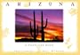 Arizona A Postcard Book