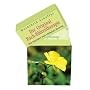 Die Original Bach-Bl�tentherapie: Das Kartenset zu&hellip von Mechthild Scheffer