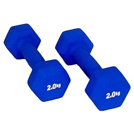 リージェント・ファーイースト フィッツベル (2.0KGx2本) ブルー 39272