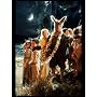 BBC Shakespeare: A Midsummer Night's Dream