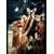 BBC Shakespeare: A Midsummer Night's Dream