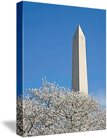 WASHINGTON MONUMENT AT CHERRY BLOSSOMS TIME gallery-wrapped giclee canvas print / canvas art - from the Ambassador Eckert "Images of Our World" collection