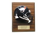 Houston Texans NFL Mini Helmet Plaque