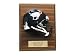 Houston Texans NFL Mini Helmet Plaque