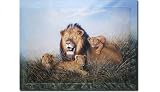 africa lion Baby family pictures 80x60cm top Geschenke