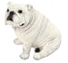 BULL DOG White Bulldog FIGURINE Sits Resin 510W