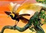 3D Lenticular POSTCARD-PARADIES-VOGEL