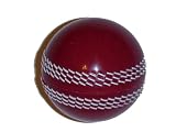 Cricket Soft Practice Ball Red