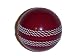  : Cricket Soft Practice Ball Red