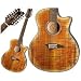 Musical Instruments : Dean Exotica Flame Maple 12-String Acoustic/Electric Cutaway Guitar w/Tuner Pre Amp Tiger Eye